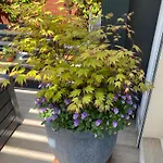 فندق مبيت وإفطار La Note Bleue - D'hotes