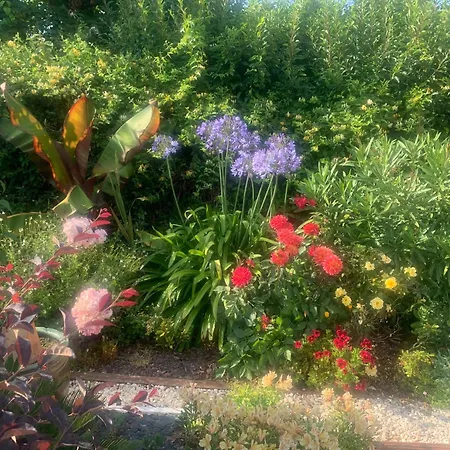 La Note Bleue - D'hotes Bed & Breakfast *