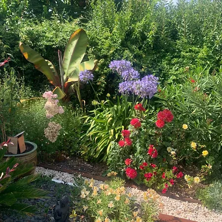 Bed & Breakfast La Note Bleue - D'hotes