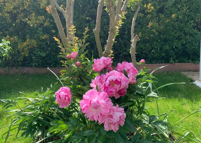 La Note Bleue - D'hôtes *