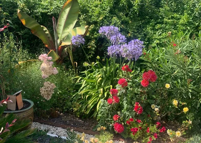 Bed & Breakfast La Note Bleue - D'hotes