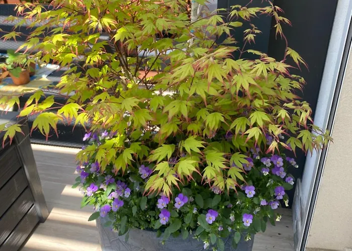 Bed & Breakfast La Note Bleue - D'hotes