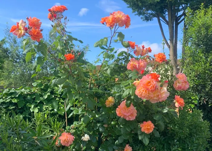 La Note Bleue - D'hotes